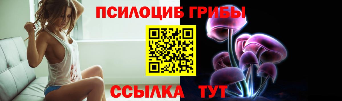 Галлюциногенные грибы Cubensis Томск